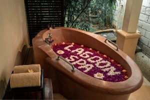 Lagoon Spa bathtub